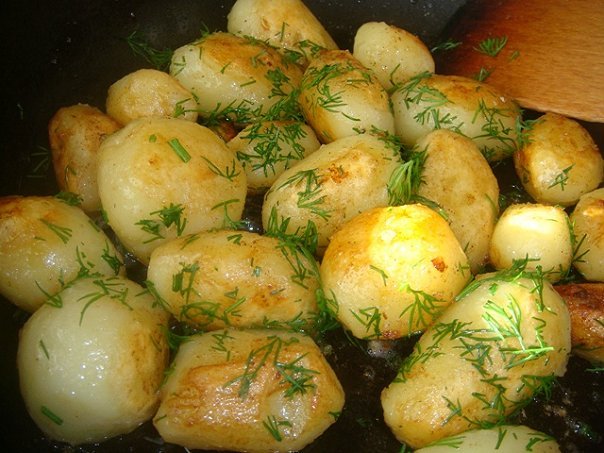 Картошка на плите рецепты простые и вкусные 197