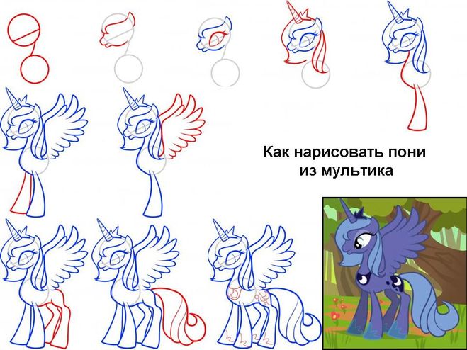 Как рисовать пони дружба поэтапно Как рисовать пони дружба поэтапно