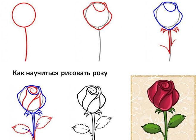 Научиться рисовать для начинающих в домашних условиях 246