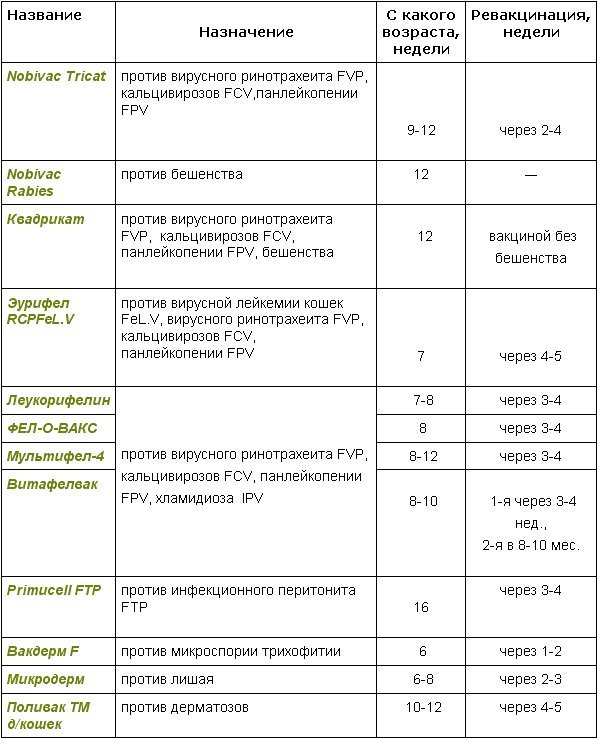 Схема прививок для кошек Схема прививок для кошек