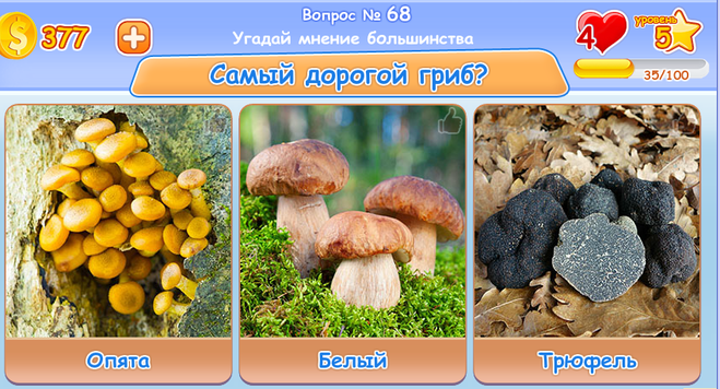 Гра & quot; Веселий кіт & quot; в Одноклассниках: Найдорожчий гриб? Гра & quot; Веселий кіт & quot; в Одноклассниках: Найдорожчий гриб?