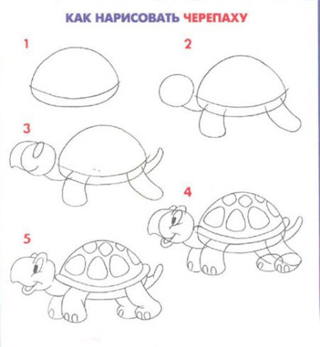 Черепаха рисовать поэтапно ребенку Черепаха рисовать поэтапно ребенку