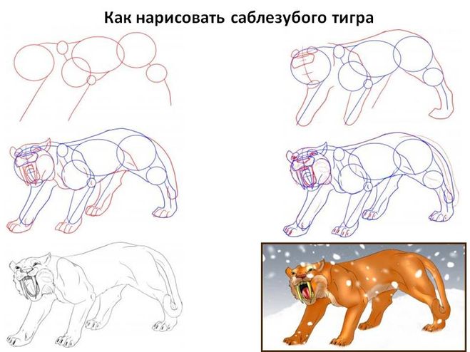 Как нарисовать тигрицу поэтапно Как нарисовать тигрицу поэтапно