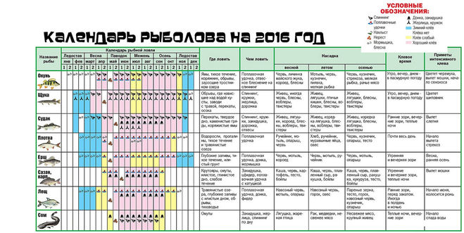 закон о ловле рыбы в 2016 году закон о ловле рыбы в 2016 году