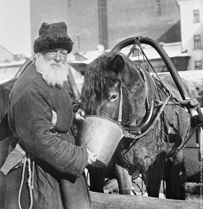Скільки коштував кріпак робітник із сім'єю в 1800 році? А добрий кінь? Скільки коштував кріпак робітник із сім'єю в 1800 році? А добрий кінь?