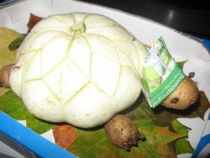 Поделки из патиссона своими руками фото для детского Поделки из патиссона своими руками фото для детского