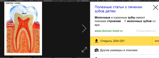 Чи є нерви в молочних зубах?