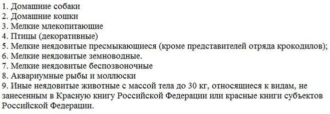 Чи можна тримати курей в міській квартирі?