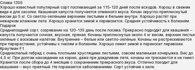У якій фазі місяця солити (квасити) капусту?