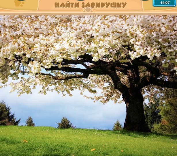 & Quot; Знайди тварина & quot; 267 рівень (гра в Одноклассниках). Де завирушка?