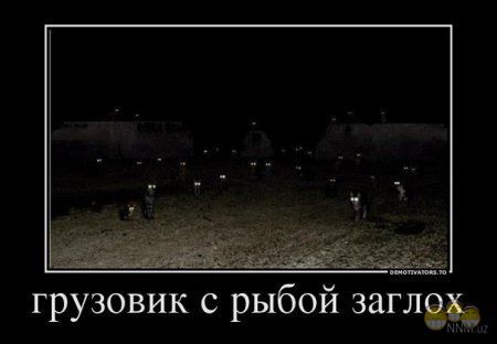 Найсмішніші демотиватори. Які?