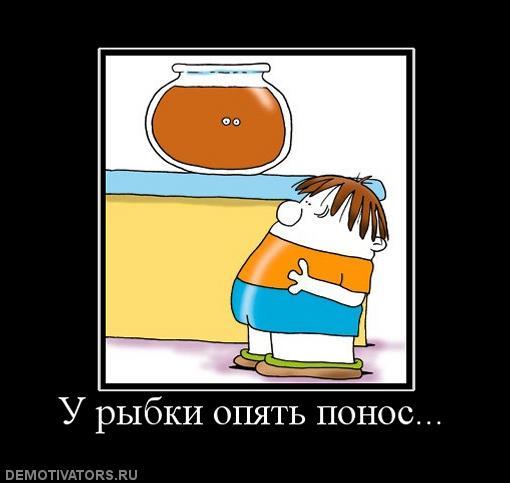 Найсмішніші демотиватори. Які?