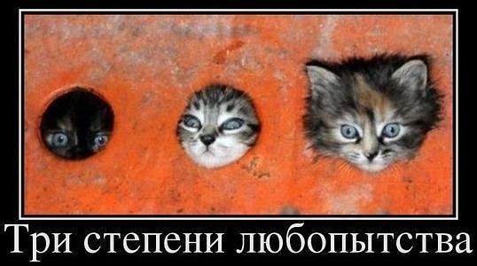 Найсмішніші демотиватори. Які?