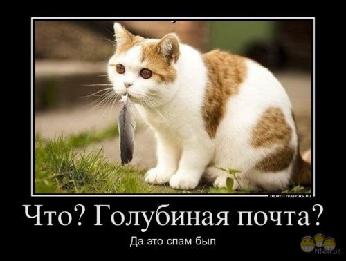 Найсмішніші демотиватори. Які?