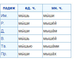 Схема слова миша