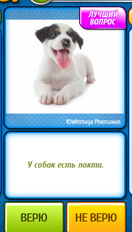 У собак є лікті? У собак є лікті?