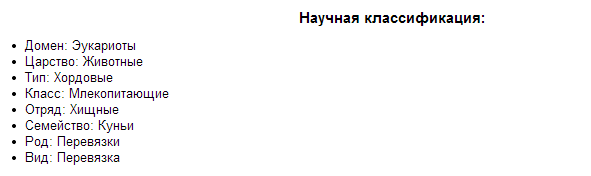 Перев'язка - якого звіра так називають і чому?