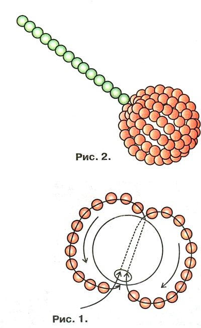 Кольца Из Бисера Поэтапно Картинки