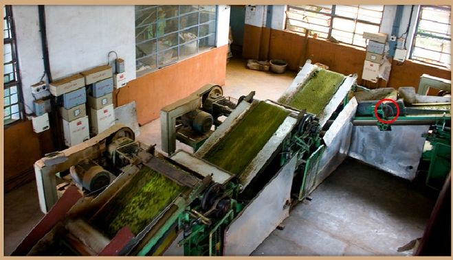 & Quot; Де ж кіт & quot; в Однокласниках. Відповіді на 145 епізод гри (ур. 2881-2900)?