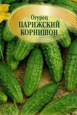 Плоди якого овоча називають корнішонами?