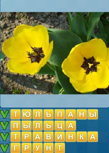 & Quot; Знайди слова & quot; в Однокласниках. 1292 рівень. Яку відповідь?