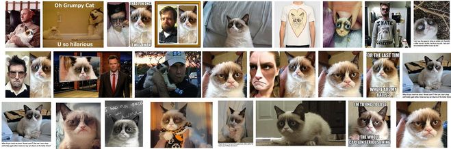 Хто такий Grumpy Cat? Чим він популярний?