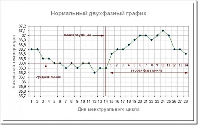 Як правильно вимірювати базальну температуру і розшифровувати результати?