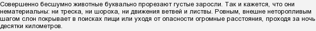 Скільки може пройти африканський слон в пошуках їжі максимально?