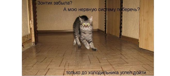 Що любить і не любить нервова система?