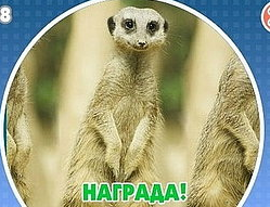 Гра & quot; Побачив? Вгадай! & Quot; (Однокласники). Яку відповідь на 91 рівні?