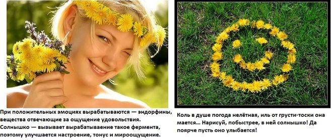 Чим більше сонця - тим краще настрій?