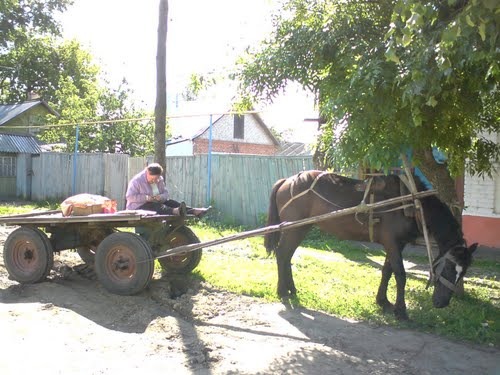 У якій області України знаходиться місто Чобіток?