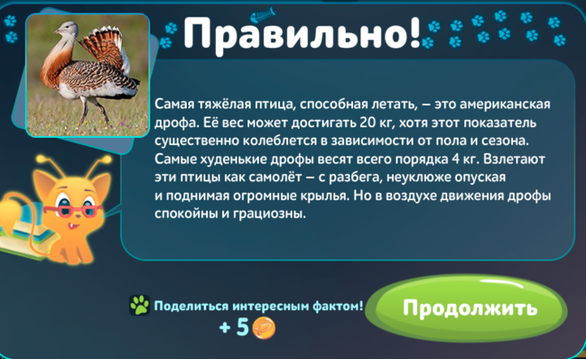 Гра & quot; П'ять питань про все & quot; Найважча літаючий птах (см)?
