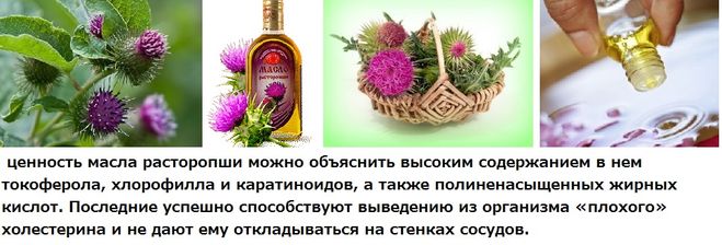 Олія розторопші - користь, як застосовувати, ефективність?