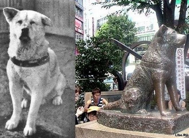 Де стоїть пам'ятник Хатіко, вірному і відданому собаці?