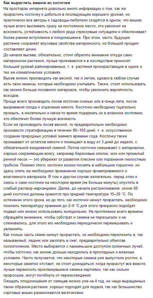 Як виростити вишню з кісточок?