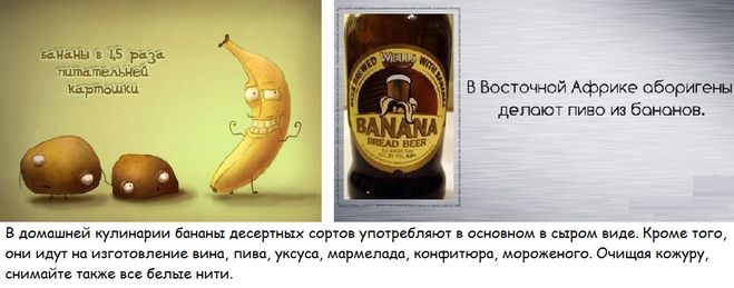 Цікаві факти про банани - які?