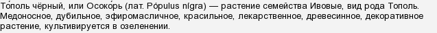 Сріблястий тополя. Як називається?