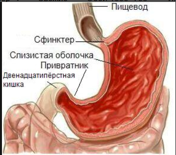 Чому печія після їжі?