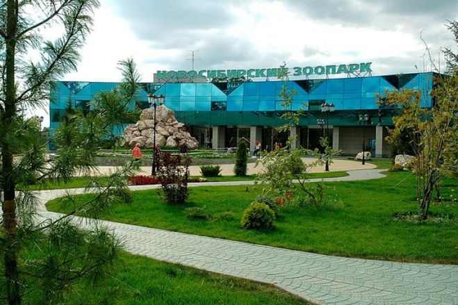 Скільки коштує квиток до зоопарку в Новосибірську?
