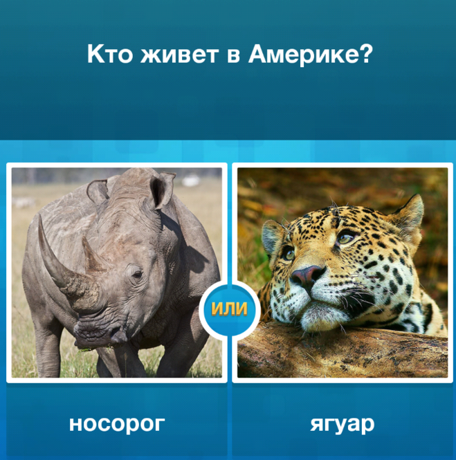 Угадайка. Хто живе в Америці?