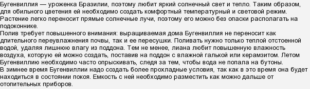Які квіти можна посадити на підвіконні, де майже весь день сонце?