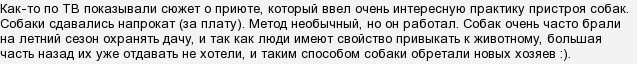 Чи потрібно підтримувати притулки для тварин?