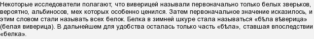 Чому білка зветься білкою, хоча вона не біла?