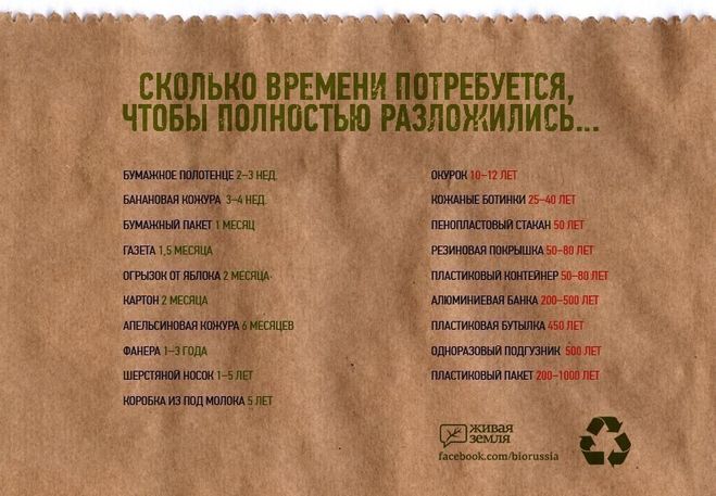 Через скільки часу розкладається пластик?