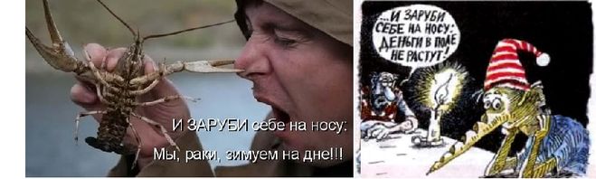 Які скласти пропозиції з фразеологізмом & quot; зарубати на носі & quot ;?