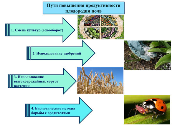 Питательные вещества и органическое вещество