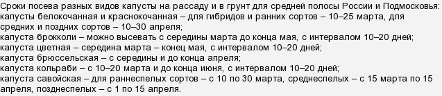 Посадка Капусты На Рассаду В Средней Полосе
