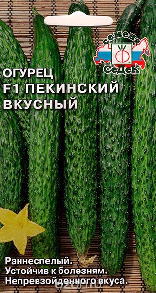 Сорт огірків Пекінський смачний F, які відгуки, особливості вирощування?