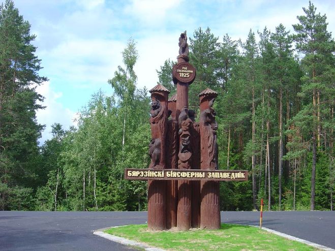 Де знаходиться Березинський біосферний заповідник?